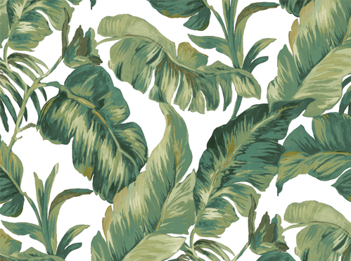 papier-peint-motif-tropical-vintage-palmier-singe